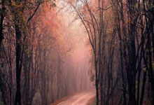 旺财28官方网站：为何迟迟未娶乔治娜？C罗打响指：在等那个契机，1000%会发生.