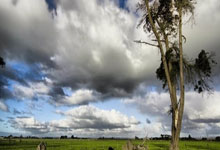 旺财28官方网站：[欧冠]E组第1轮：拉齐奥VS马德里竞技.