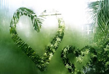 在C罗面前Siuuu！霍伊伦替补建功，丹麦1-0领先葡萄牙.